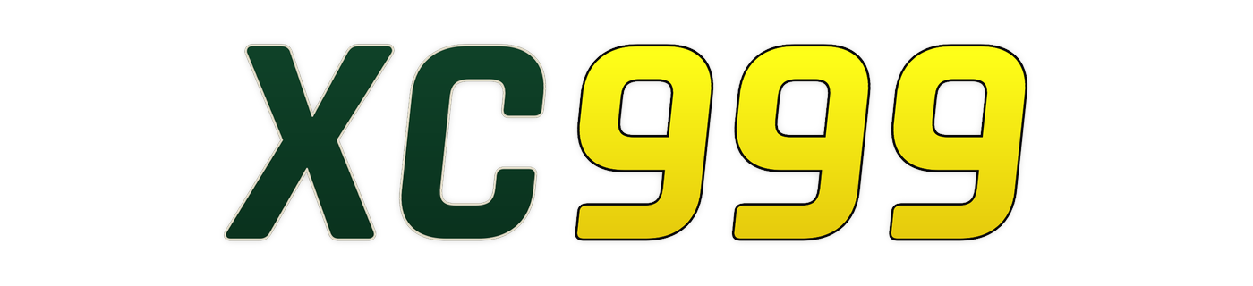 xc999